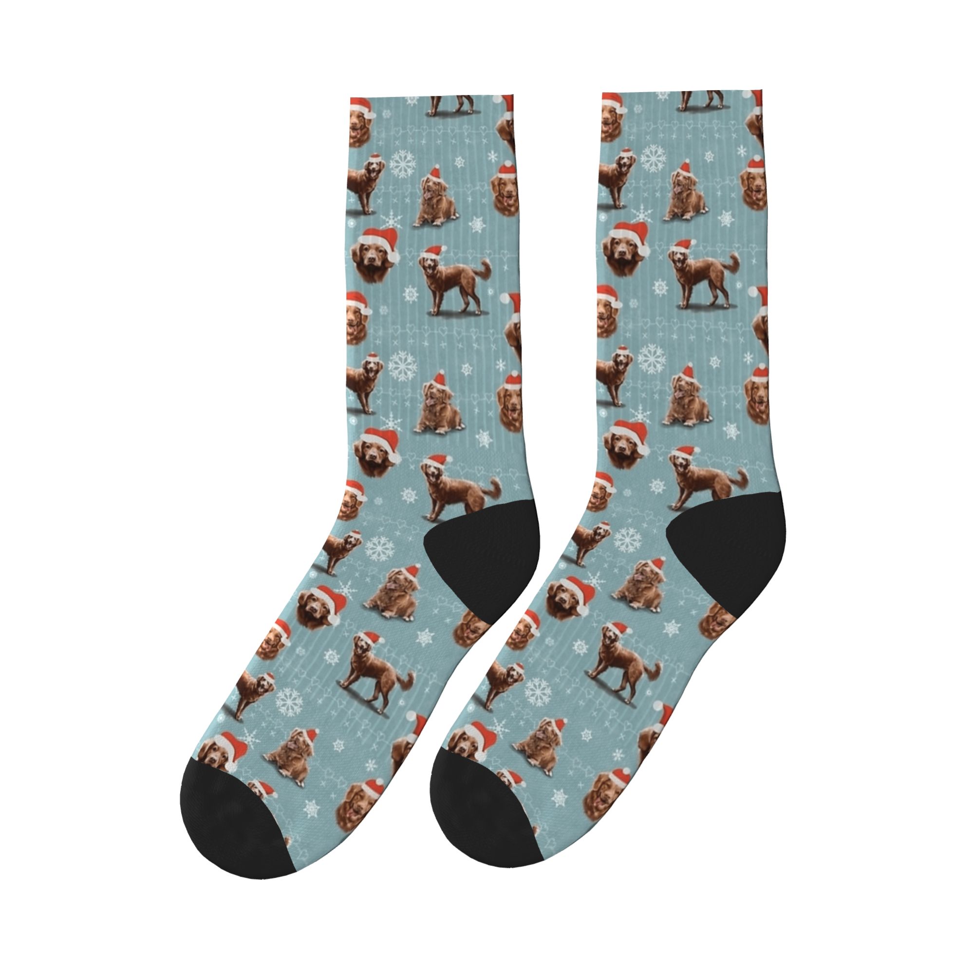 The Christmas Nova Scotia Duck – Men'S Fashion Nova Bewertung und Preis