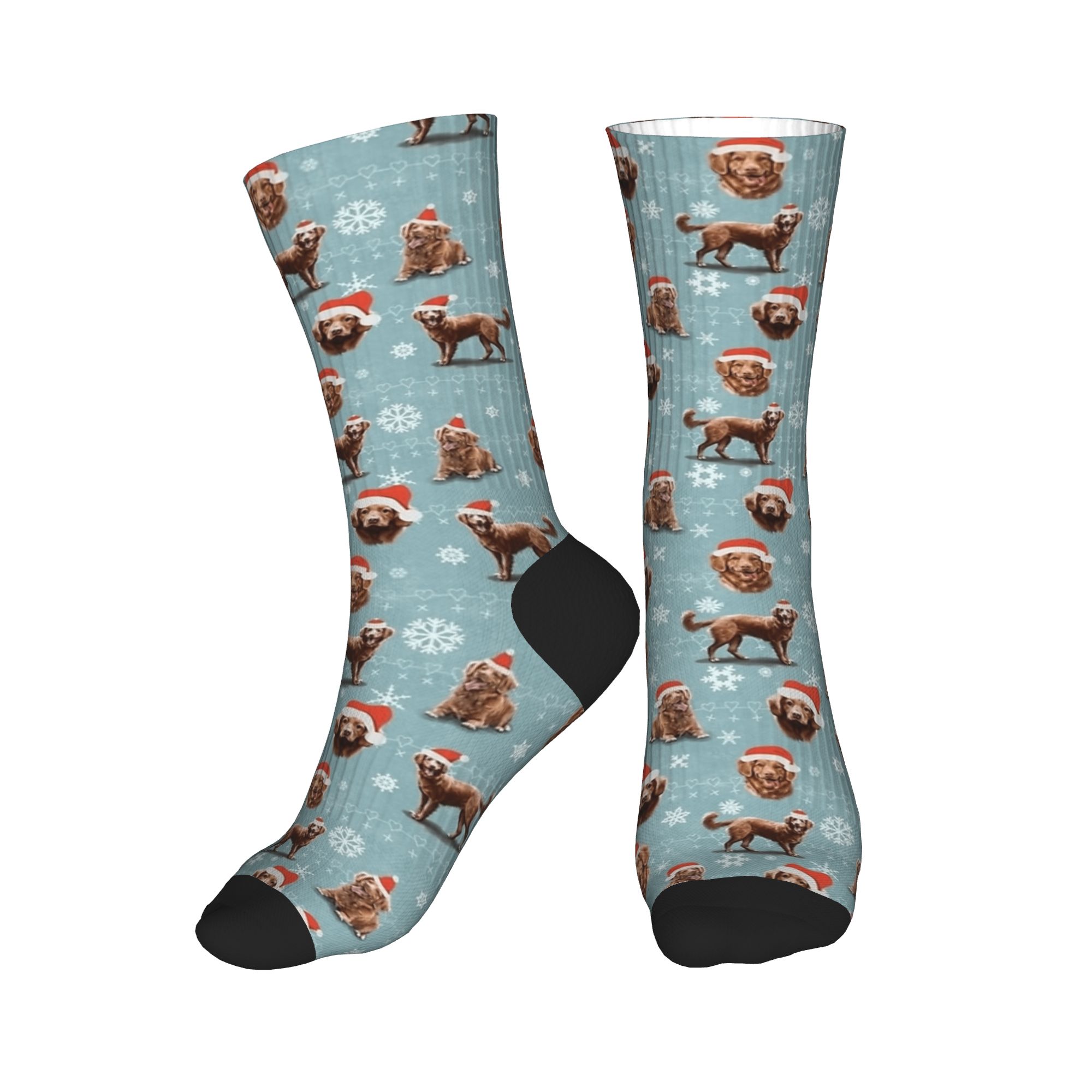 The Christmas Nova Scotia Duck – Men'S Fashion Nova Bewertung und Preis